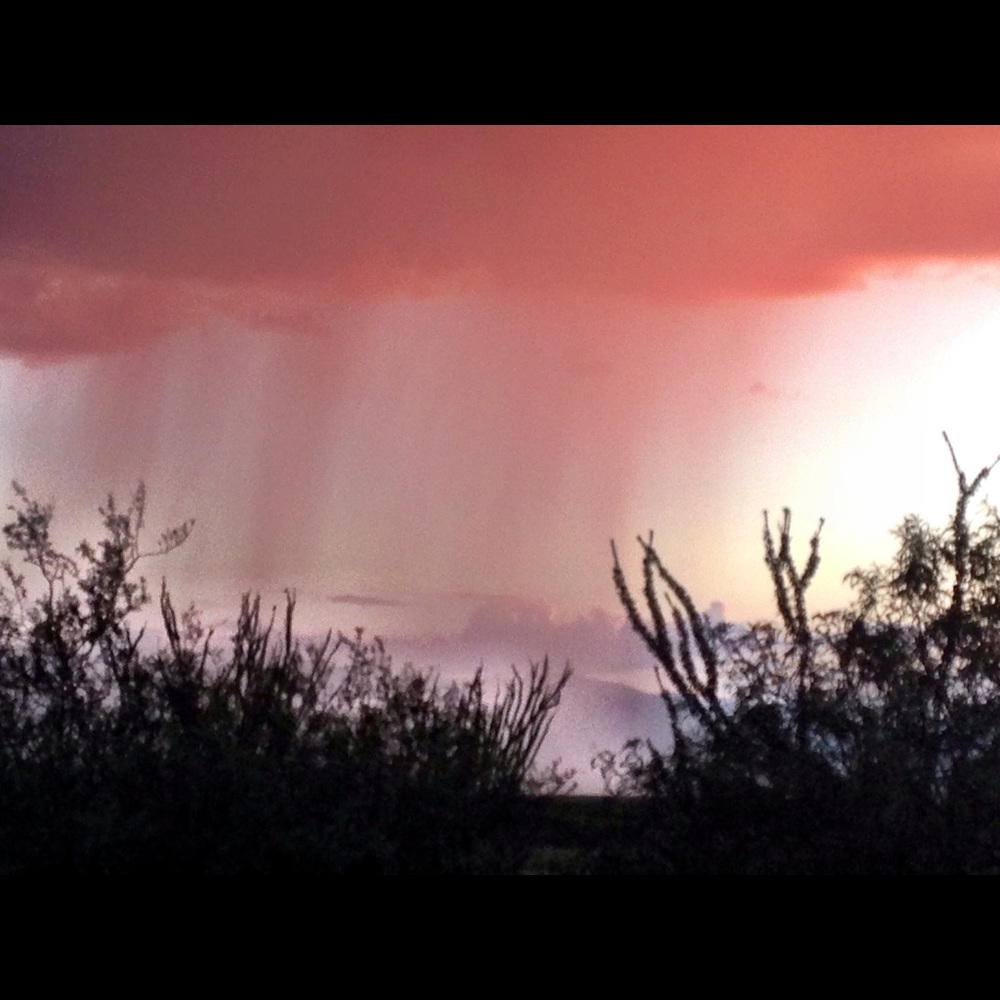 Meet your Posher, Nina